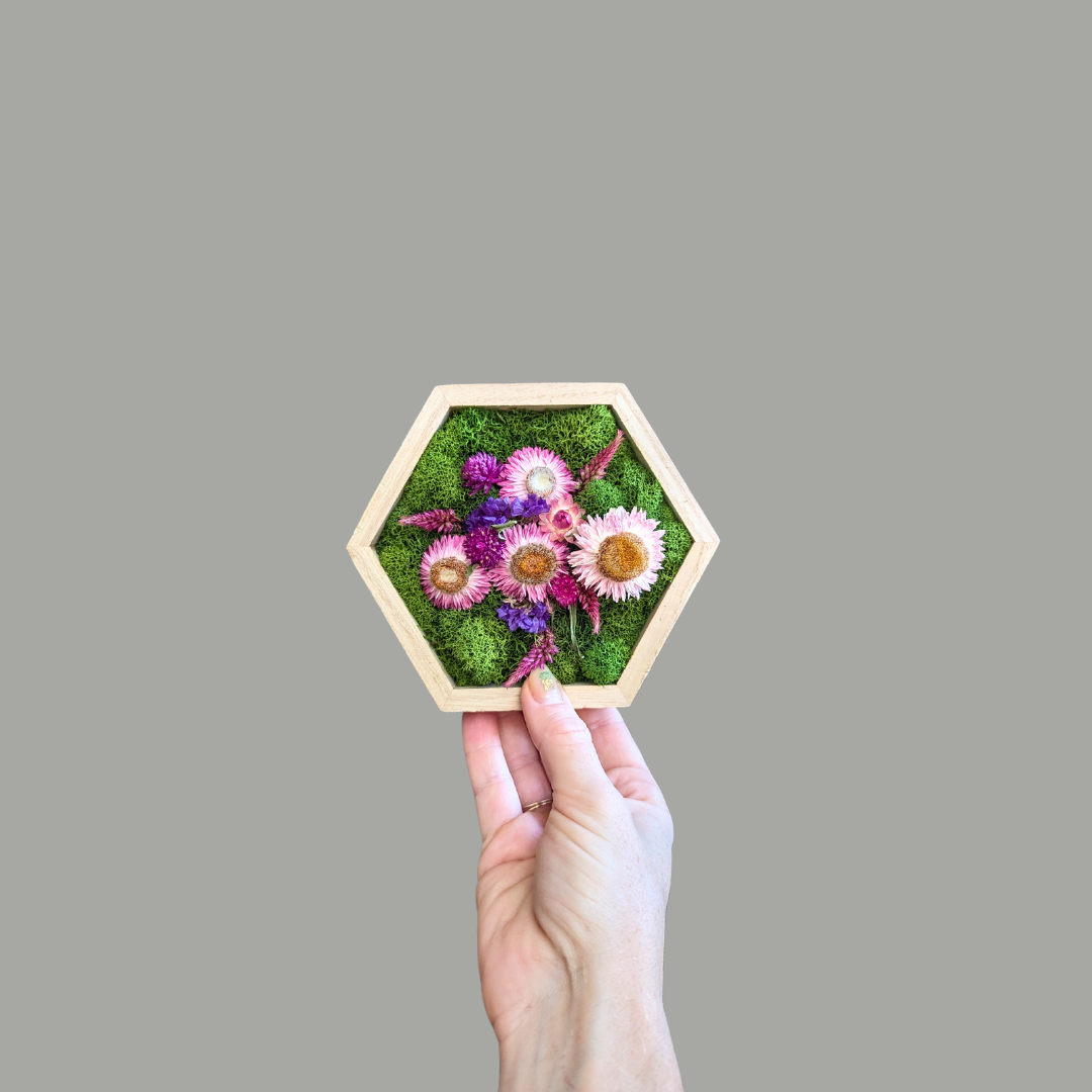 Hexagon Garden